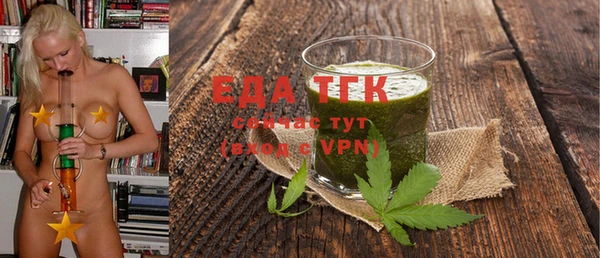 spice Богородицк