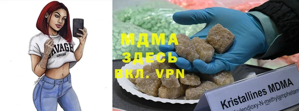 spice Богородицк