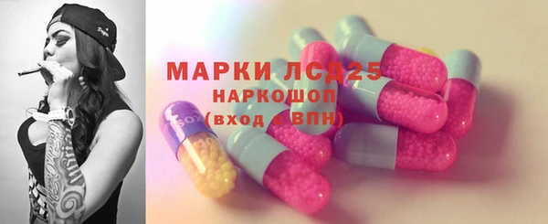 PSILOCYBIN Богданович