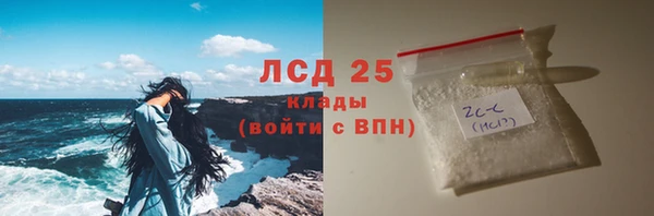 spice Богородицк