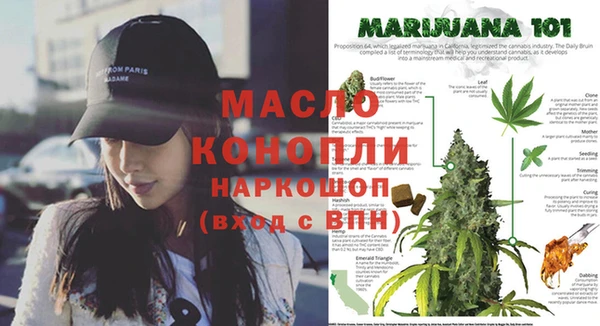 PSILOCYBIN Богданович