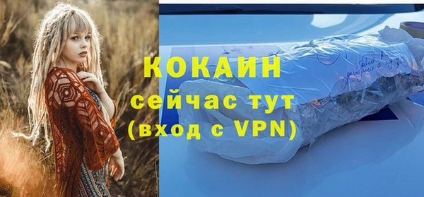 PSILOCYBIN Богданович